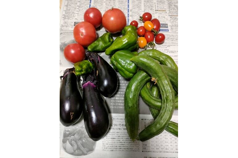 2022.7.15産直野菜